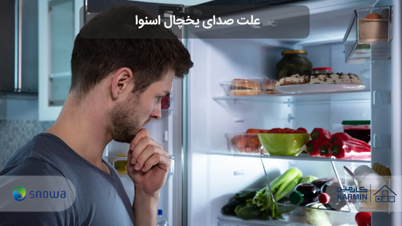 علت صدای یخچال اسنوا